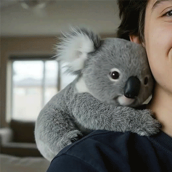 Helende Papa Koala pop｜Geef jezelf een zachte knuffel🌿