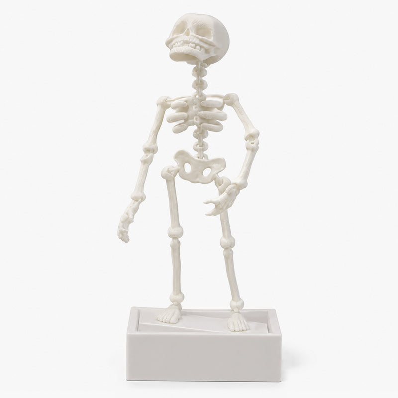 💀 Dynamisch Halloween-aquariumornament in de vorm van een skelet: een door lucht aangedreven aquariumversiering!🐠