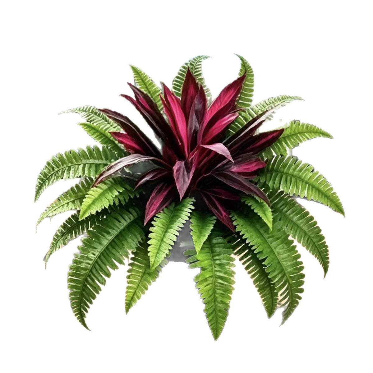 🌿 Levensechte kunstvaren & rode dracaena: UV-bestendige plant voor buiten! ✨
