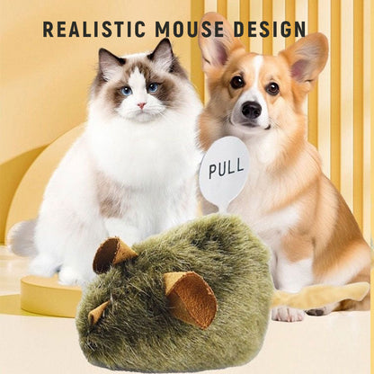 🐱Huisdiergenoot🐁Muizenspeelgoed voor katten en honden