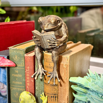 🐸Laatste dag: 50% KORTING - Reading Frog-plankfiguurtje