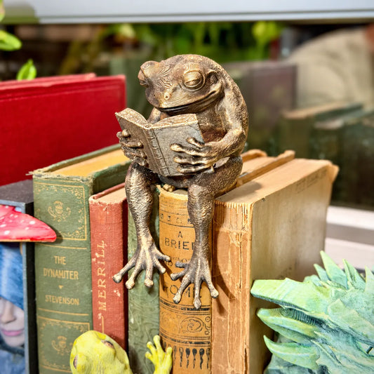 🐸Laatste dag: 50% KORTING - Reading Frog-plankfiguurtje