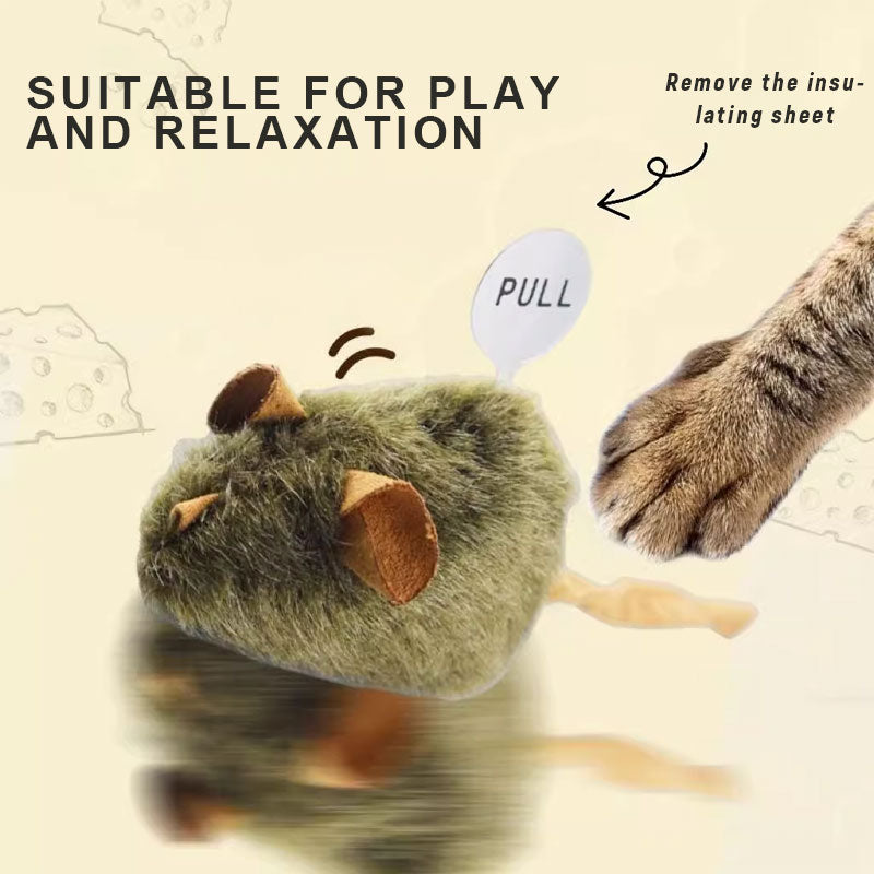 🐱Huisdiergenoot🐁Muizenspeelgoed voor katten en honden