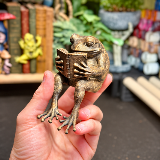 🐸Laatste dag: 50% KORTING - Reading Frog-plankfiguurtje