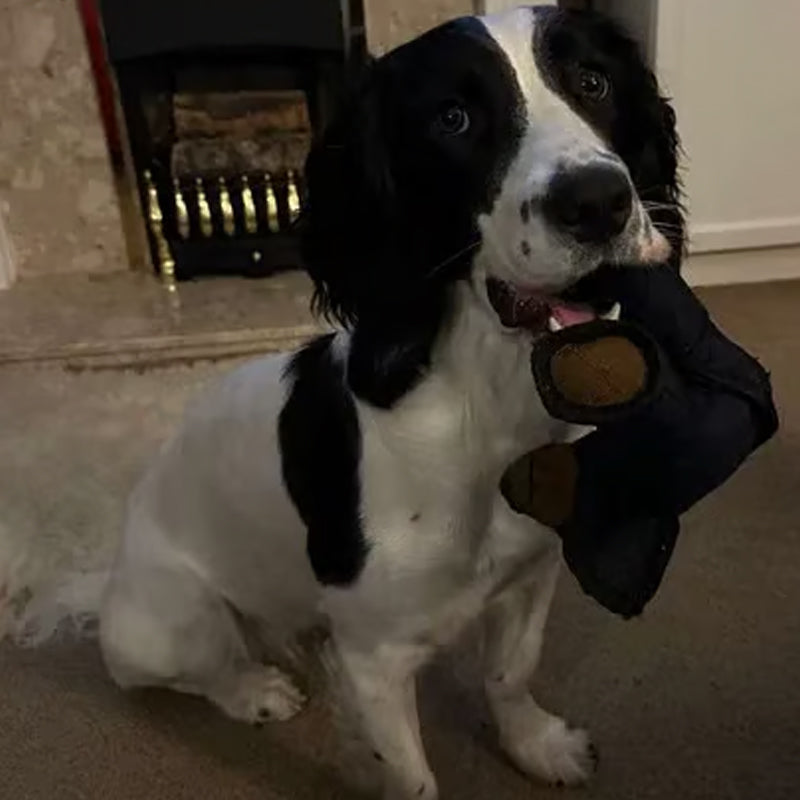 Mighty Bear Huisdierspeelgoed