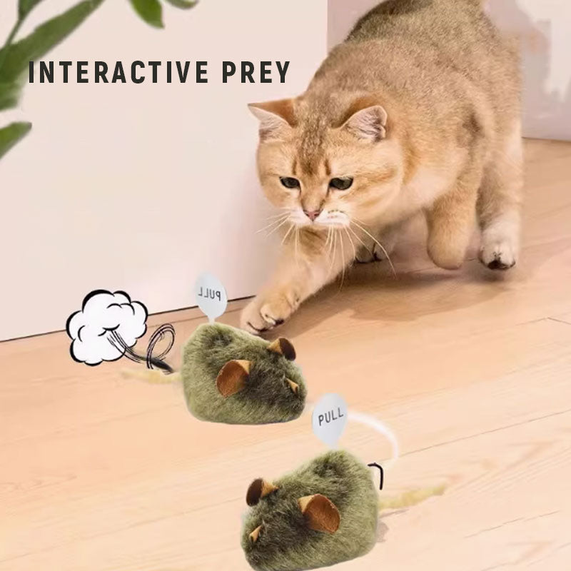 🐱Huisdiergenoot🐁Muizenspeelgoed voor katten en honden