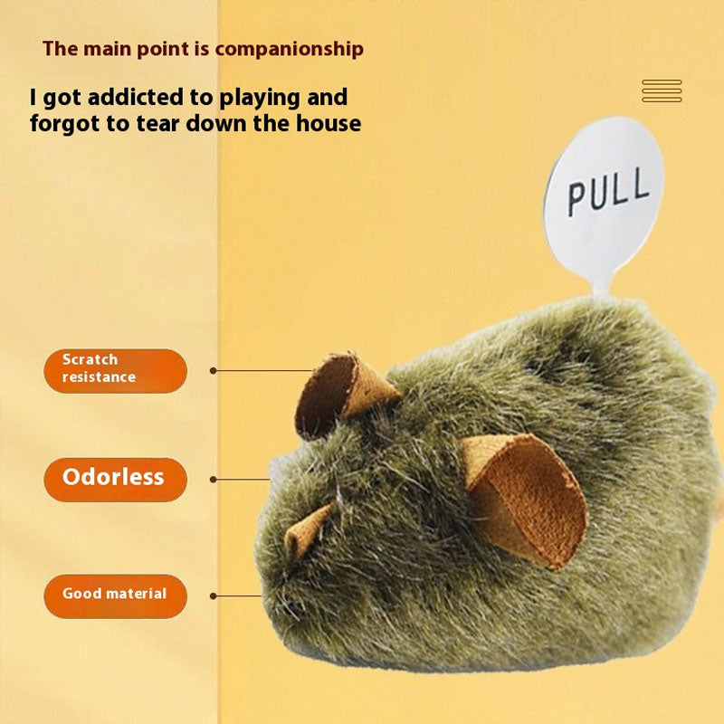 🐱Huisdiergenoot🐁Muizenspeelgoed voor katten en honden
