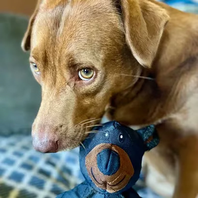 Mighty Bear Huisdierspeelgoed