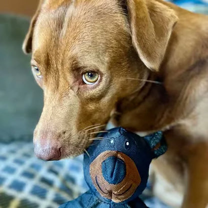 Mighty Bear Huisdierspeelgoed