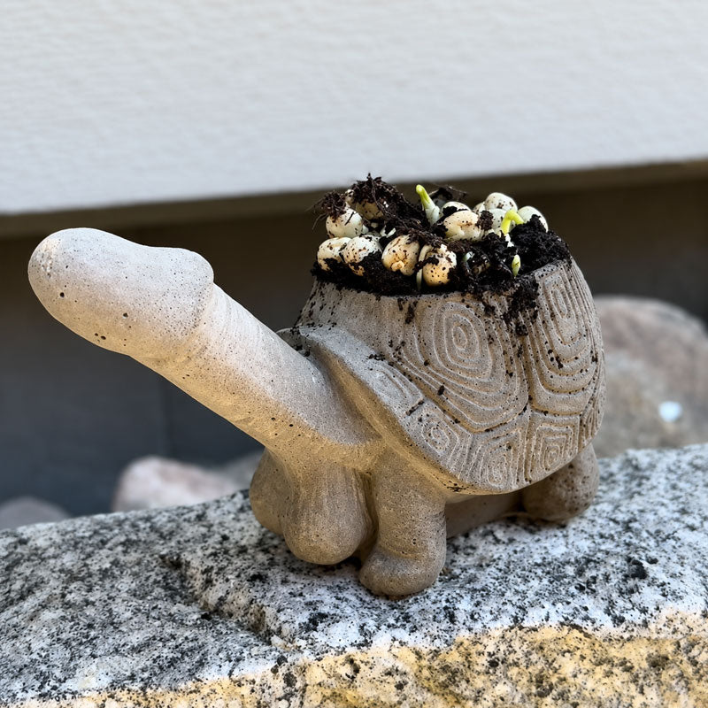 Leuke plantpotten voor in de tuin