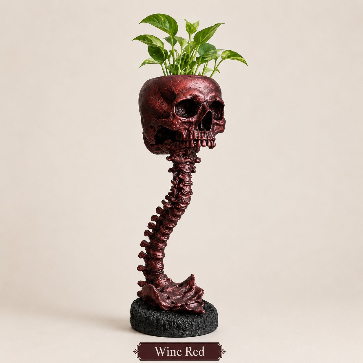 Gotische schedelplantenbak en skeletvaas, 11.6 inch / 29.5 cm – griezelige woondecoratie