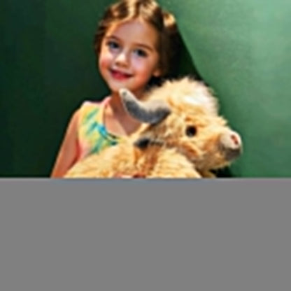 🎁Schattig Cartoon Hoogland Koe Knuffelbeestje