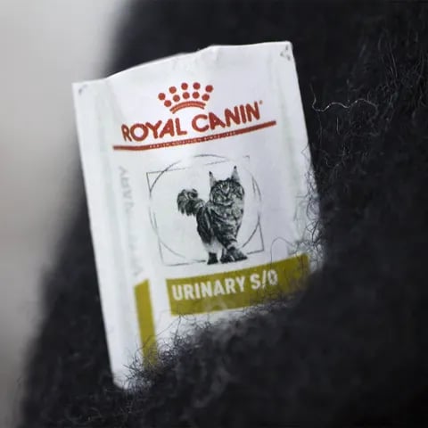 🎄✨Wollen vilten huisdieren – Eigenzinnige handgemaakte metgezelle