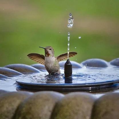⏳Tijdelijke aanbieding⏰Compacte zonne-energiepomp voor vogelvijvers – Breng uw tuin tot leven! 🐦️