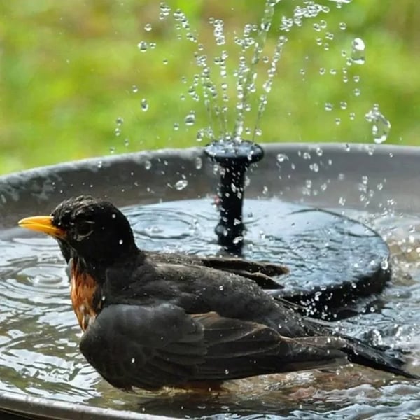 ⏳Tijdelijke aanbieding⏰Compacte zonne-energiepomp voor vogelvijvers – Breng uw tuin tot leven! 🐦️
